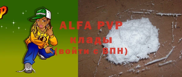 индика Покачи