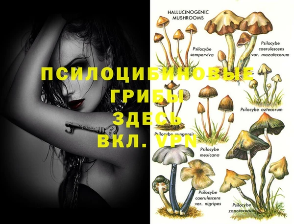 прущий лед Михайловск