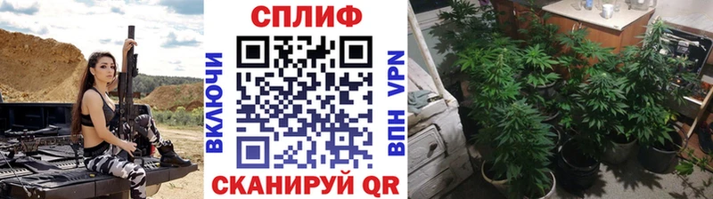 Конопля тримм  дарк нет какой сайт  Юрьев-Польский 